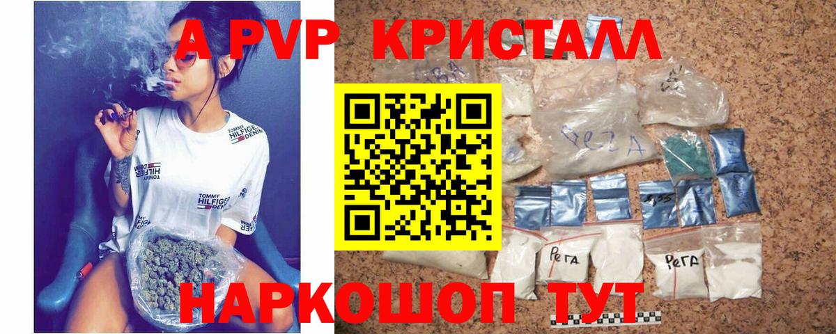 A PVP СК Советская Гавань